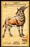 Colnect-4735-008-Addax-Antelope-Addax-nasomaculatus.jpg