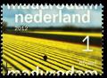 Colnect-1526-133-Flowers-field-South-Holland-Province.jpg