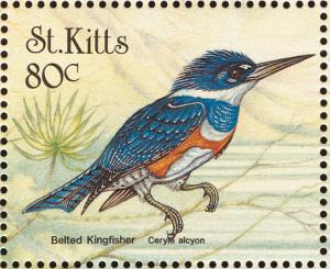 Colnect-1659-364-Belted-Kingfisher.jpg