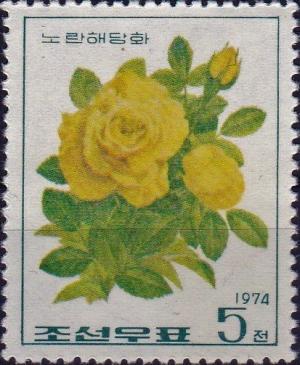 Colnect-3865-924-Yellow-sweet-briar.jpg