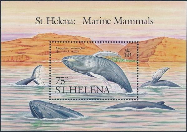 Colnect-4178-777-St-Helena-Marine-Mammals.jpg