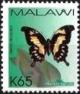 Colnect-3468-794-Eastern-Black-and-yellow-Swallowtail-Papilio-pelodorus.jpg