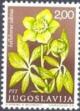 Colnect-700-464-Helleborus-odorus.jpg
