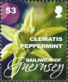 Colnect-4163-114-Clematis-Peppermint.jpg