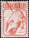 Colnect-1432-551-Cuban-Solenodon-Solenodon-cubanus-.jpg