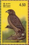 Colnect-2543-485-Crested-Serpent-Eagle-Spilornis-cheela-.jpg