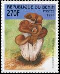 Colnect-3603-998-Hohenbuehelia-geogenia.jpg