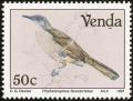 Colnect-751-654-Yellow-streaked-Greenbul-Phyllastrephus-flavostriatus.jpg