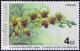 Colnect-2236-069-Dendrobium-srisiam.jpg
