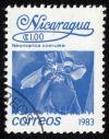 Colnect-3173-318-Neomarica-coerulea.jpg