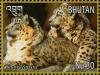 Colnect-4045-926-Snow-Leopard-Panthera-uncia.jpg