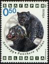Colnect-4413-042-Black-Leopard-Panthera-pardus.jpg