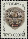 Colnect-6331-212-Snow-Leopard-Panthera-uncia.jpg