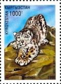 Colnect-2688-194-Snow-Leopard-Panthera-uncia.jpg
