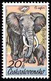 Colnect-4012-227-African-Elephant-Loxodonta-africana.jpg
