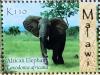 Colnect-4579-576-African-Elephant-Loxodonta-africana.jpg