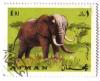 Colnect-526-469-African-Elephant-Loxodonta-africana.jpg