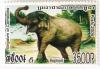 Colnect-527-007-Asian-Elephant-Elephas-maximus.jpg