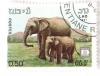 Colnect-532-917-Asian-Elephant-Elephas-maximus.jpg
