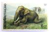 Colnect-533-585-Asian-Elephant-Elephas-maximus.jpg