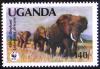 Colnect-539-296-African-Elephant-Loxodonta-africana.jpg