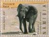 Colnect-543-146-African-Elephant-Loxodonta-africana.jpg