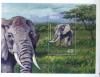 Colnect-556-340-African-Elephant-Loxodonta-africana.jpg