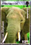 Colnect-562-505-African-Elephant-Loxodonta-africana.jpg