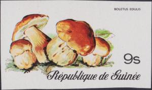 Colnect-3478-622-Cep-Boletus-edulis.jpg