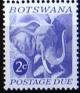 Colnect-555-203-African-Elephant-Loxodonta-africana.jpg