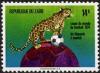 Colnect-1105-787-Leopard-Panthera-pardus-with-Ball-on-Globe.jpg