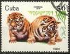 Colnect-1118-270-Tiger-Panthera-tigris.jpg