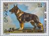 Colnect-148-305-German-Shepherd-Canis-lupus-familiaris.jpg