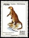 Colnect-1617-412-Giant-otter-Pteronura-brasiliensis.jpg
