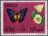 Colnect-2313-842-Butterfly---Leschenault.jpg