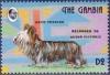 Colnect-2339-140-Skye-Terrier-Canis-lupus-familiaris.jpg