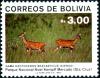 Colnect-2405-760-Pampas-Deer-Ozotoceros-bezoarticus.jpg