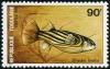 Colnect-3394-925-Fahak-Pufferfish-Tetraodon-lineanus.jpg