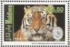 Colnect-4916-609-Bengal-Tiger-Panthera-tigris-tigris.jpg