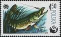 Colnect-1997-669-Northern-Pike-Esox-lucius.jpg
