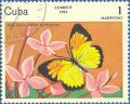 Colnect-679-204-White-Butterfly-Ixias-balice-balice.jpg