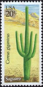 Colnect-2052-919-Desert-Plants-Saguaro.jpg