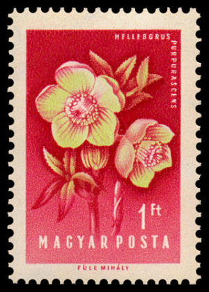 1538_Flowers_100.png
