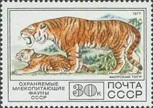 Colnect-194-798-Siberian-Tiger-Panthera-tigris-altaica.jpg