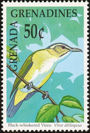 Colnect-2193-358-Black-whiskered-Vireo-Vireo-altiloquus.jpg
