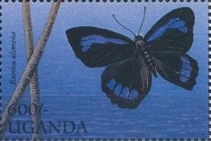 Colnect-2278-249-Butterfly-Eunica-alcmena.jpg
