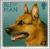 Colnect-125-090-German-Shepherd-Canis-lupus-familiaris.jpg