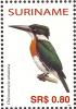 Colnect-3837-060-Amazon-Kingfisher%C2%A0%C2%A0%C2%A0%C2%A0Chloroceryle-amazona.jpg