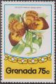 Colnect-1436-473-Butterfly-Nymula-orestes.jpg