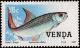 Colnect-2840-136-African-Tigerfish-Hydrocynus-vittatus.jpg